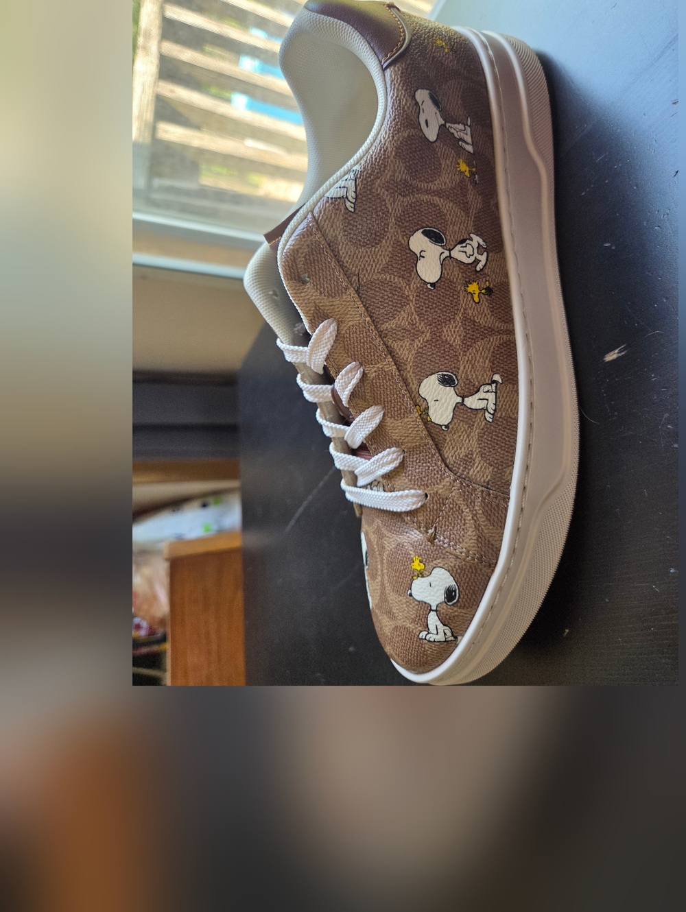 Coach × Peanuts Shoes - Picture 4 of 16